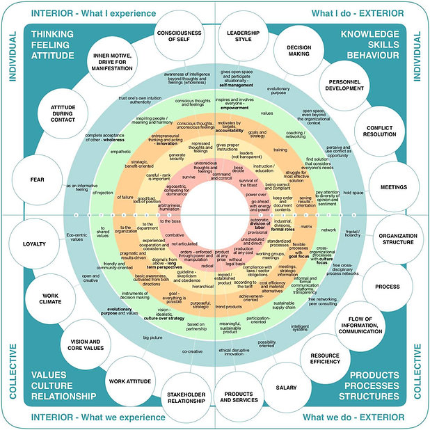 reinventing orgs schematic.jpeg