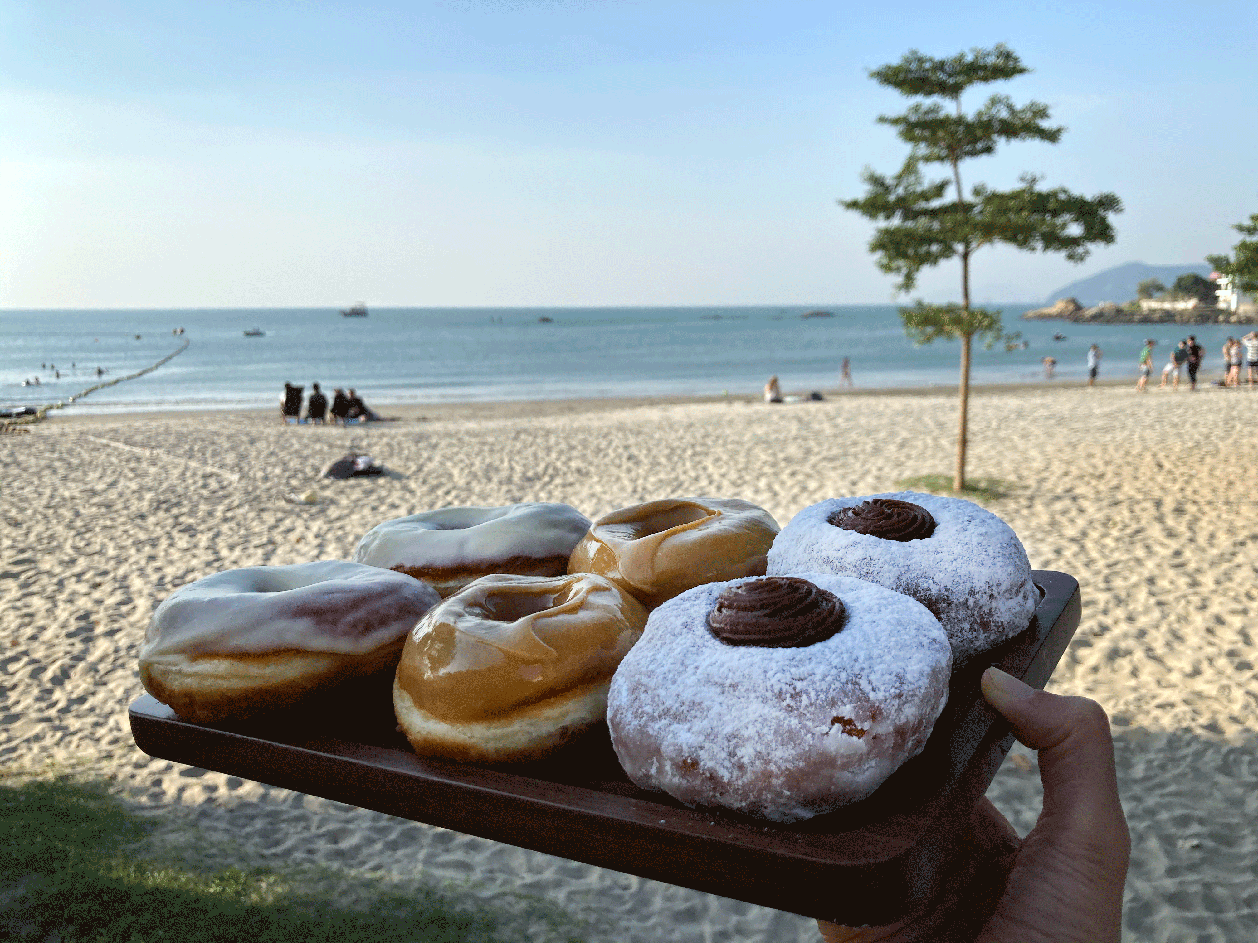 6-Tray-Beach.gif