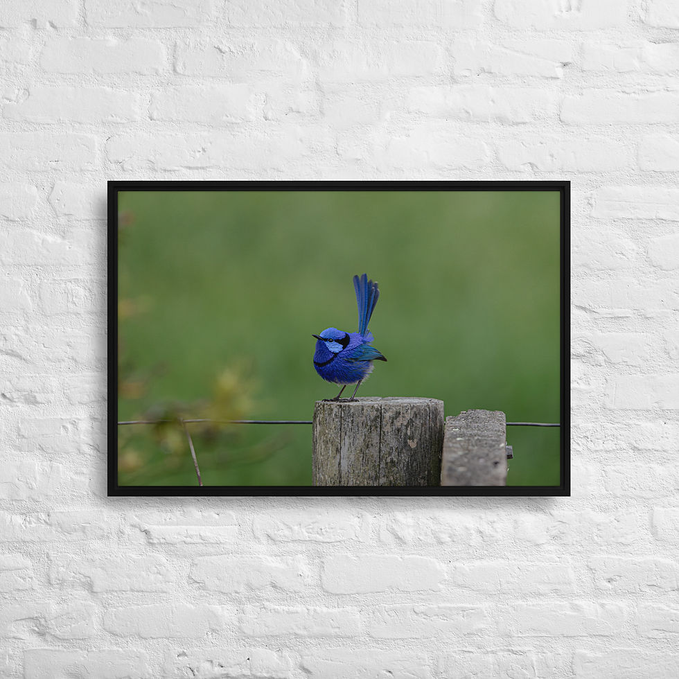 Thumbnail: Framed canvas