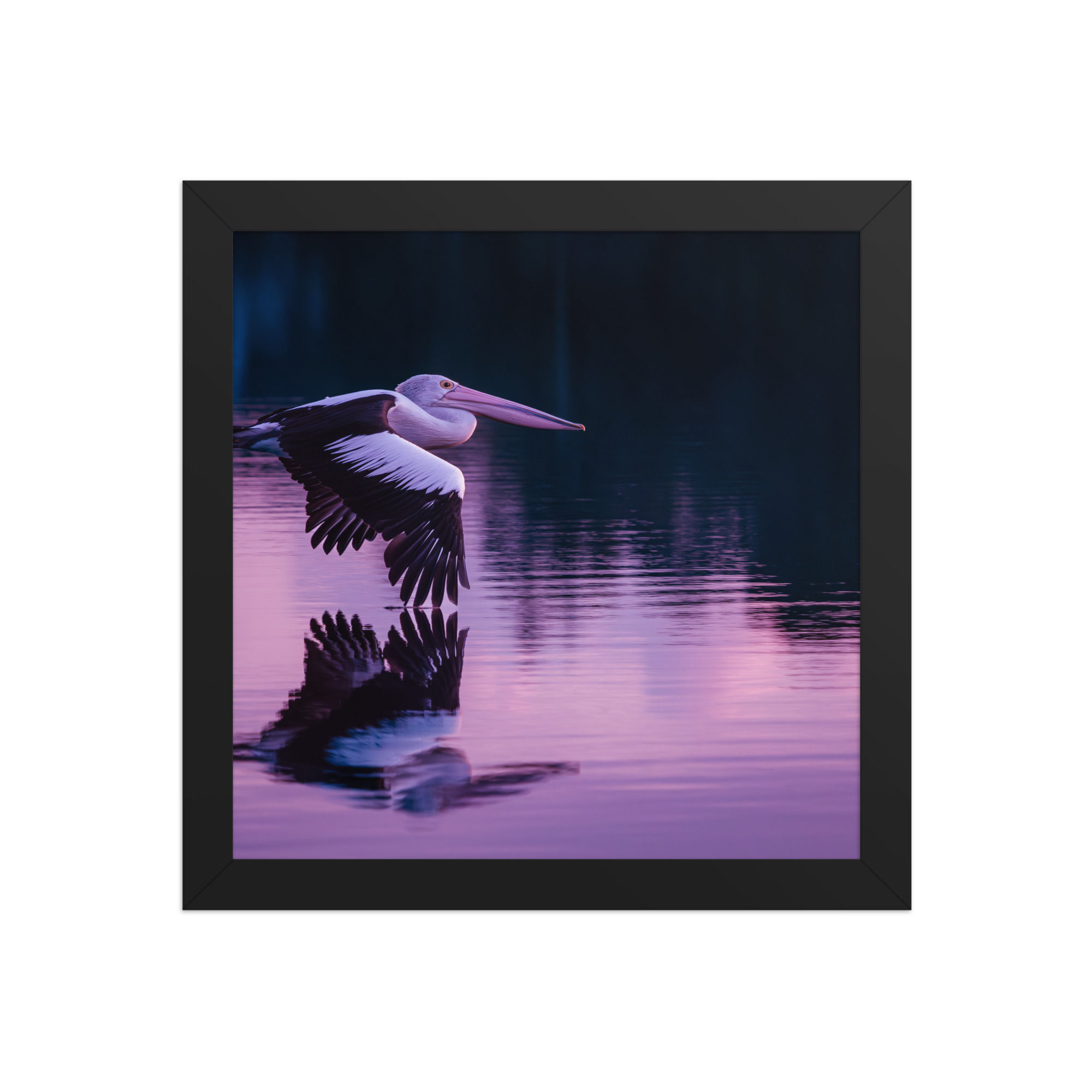 pelican Framed photo paper poster