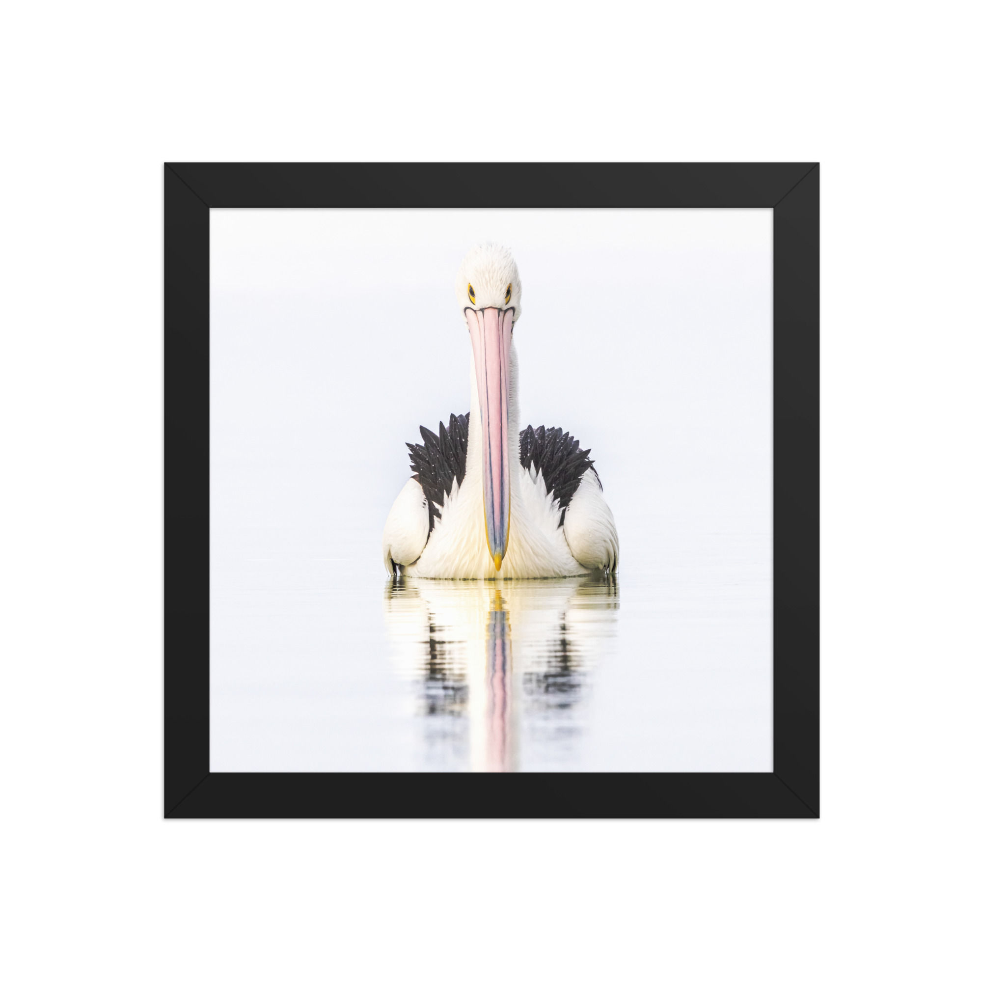 pelican Framed photo paper poster