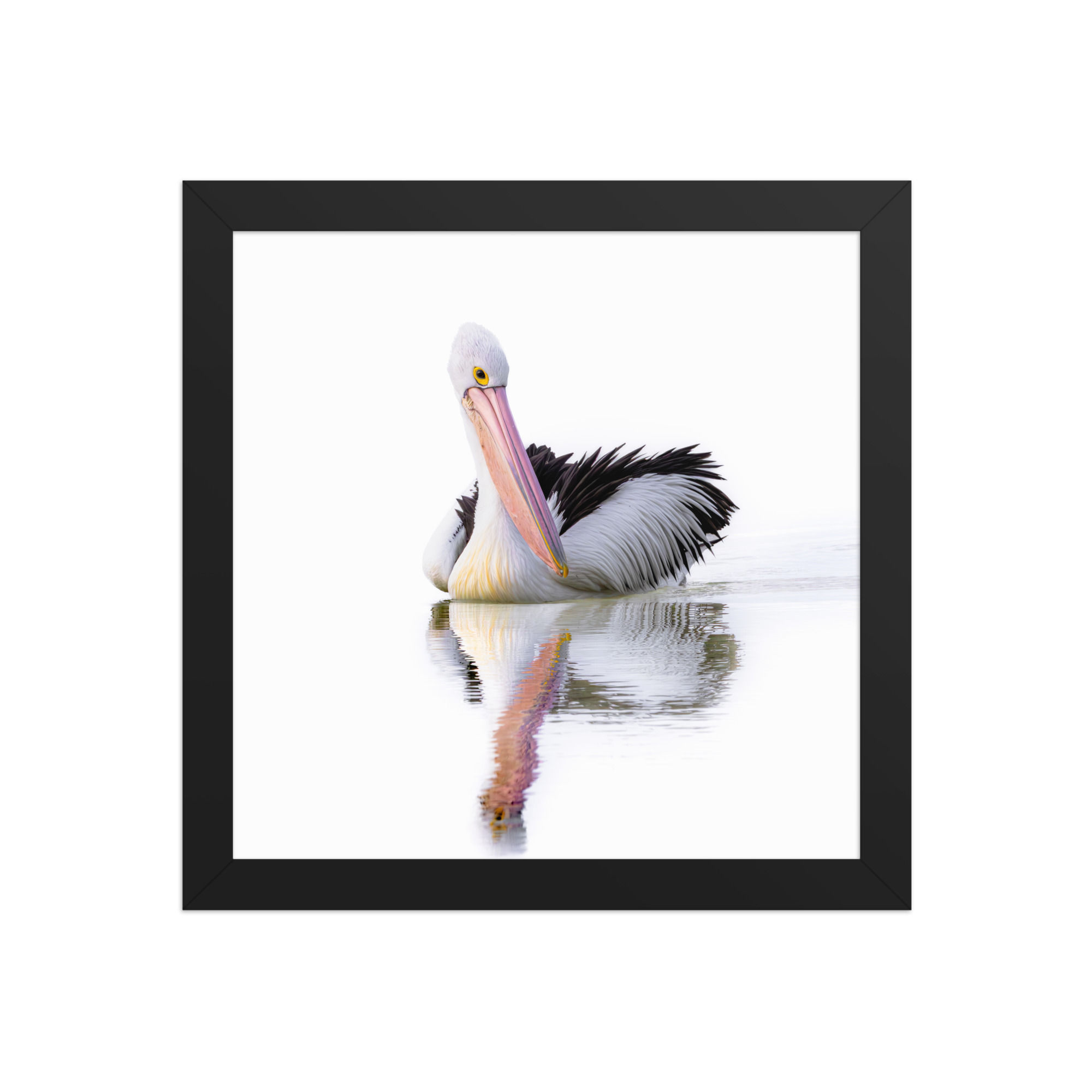 pelican Framed photo paper poster
