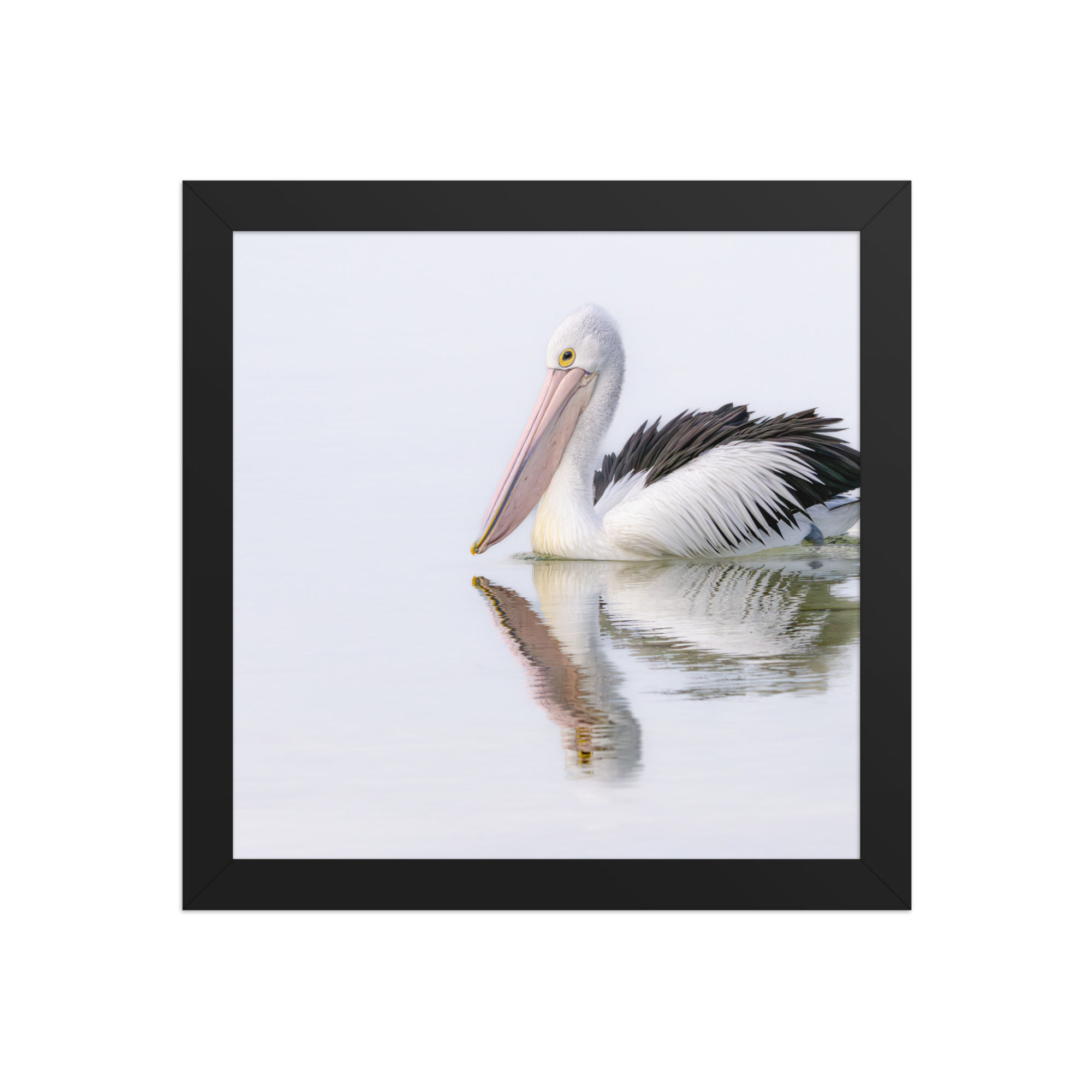 pelican Framed photo paper poster