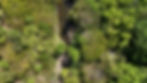DJI_20240511144122_0089_D