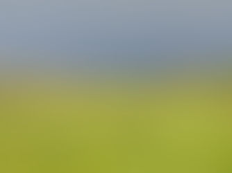 Rewriting Rest: What I’ve Learned Since My ADHD Diagnosis