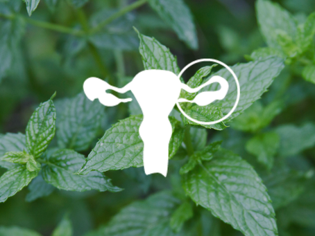 Syndrom polycystických ovarií (PCOS)
