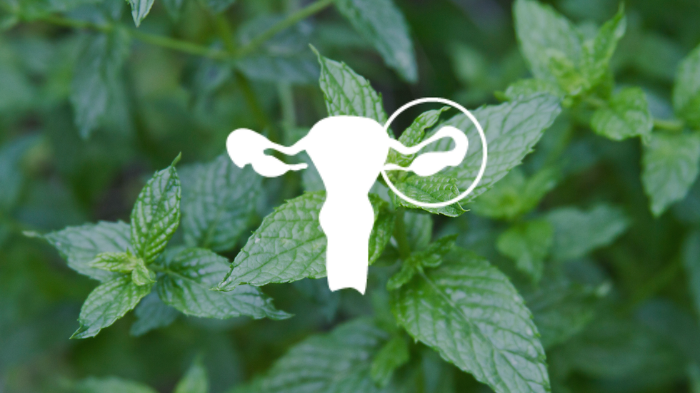 Syndrom polycystických ovarií (PCOS)