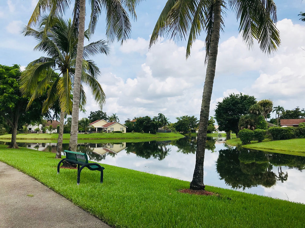 Water Views