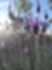 WhatsApp Image 2025-01-08 at 17.03.19.jpeg