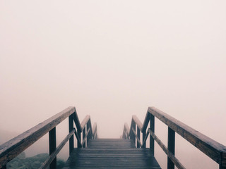 It feels like a long journey - because it is
