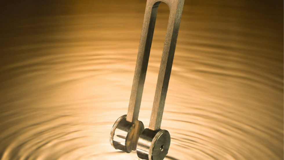Eye-level view of water surface forming ripples from sound vibrations