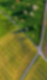 Farm