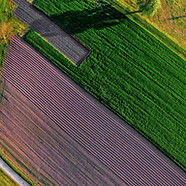 Farm