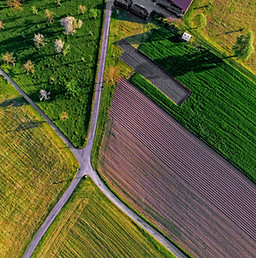 Farm