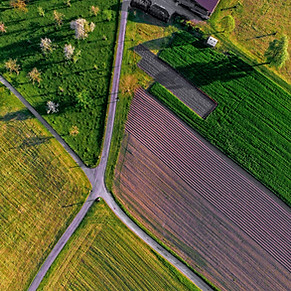 Farm