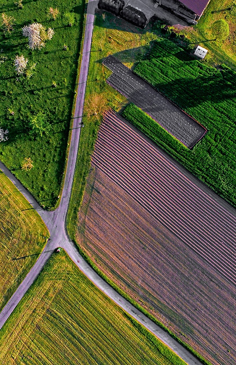 Farm