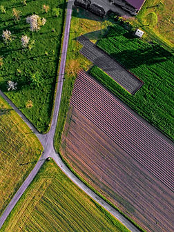 aerial view of farm field