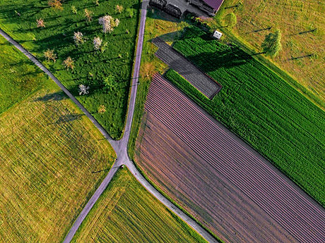 Farm