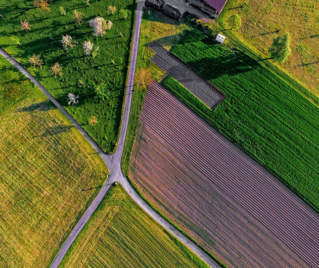 Farm