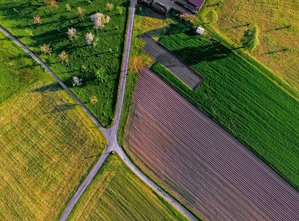 Farm