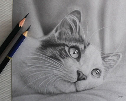 karakalem tablo, karakalem fiyat, karakalem portre fiyatları, karakalem çizim fiyatları, karakalem tablo fiyatları, kişiye özel karakalem tablo, karakalem portre çizim fiyatları, karakalem portre siparişi, karakalem çizim yaptırma, karakalem sipariş, karakalem çizimi yapan yerler, karakalem portre çizimi, karakalem portre, karakalem portre çalışması, karakalem çizimleri, karakalem portre çizim fiyatları, portre çizimi, kolay karakalem çizimleri, profesyonel karakalem çalışmaları, evcil hayvan, evcil hayvan karakalem, realizm, realist karakalem, yupiyo, yücelen seydioğlu