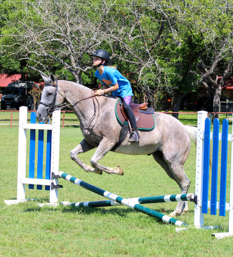girl in a blue t-shirt riding a gray horse that is jumping over rails.