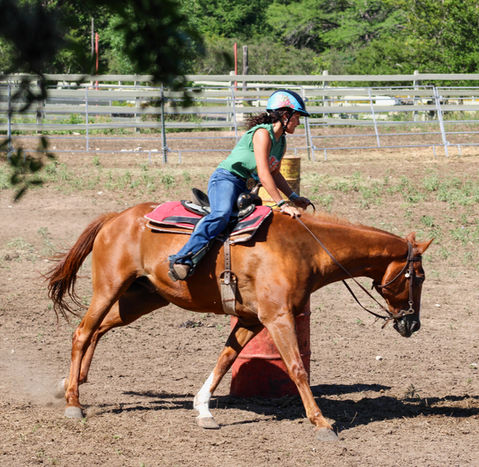 Girl riding a horse that is running around a barrel.