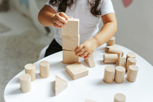 children play with wooden toys in the children's room.jpg