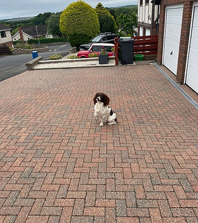 Job Done PDrive Power Washed and Sanded.jpeg