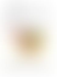 piramide alimentare americana