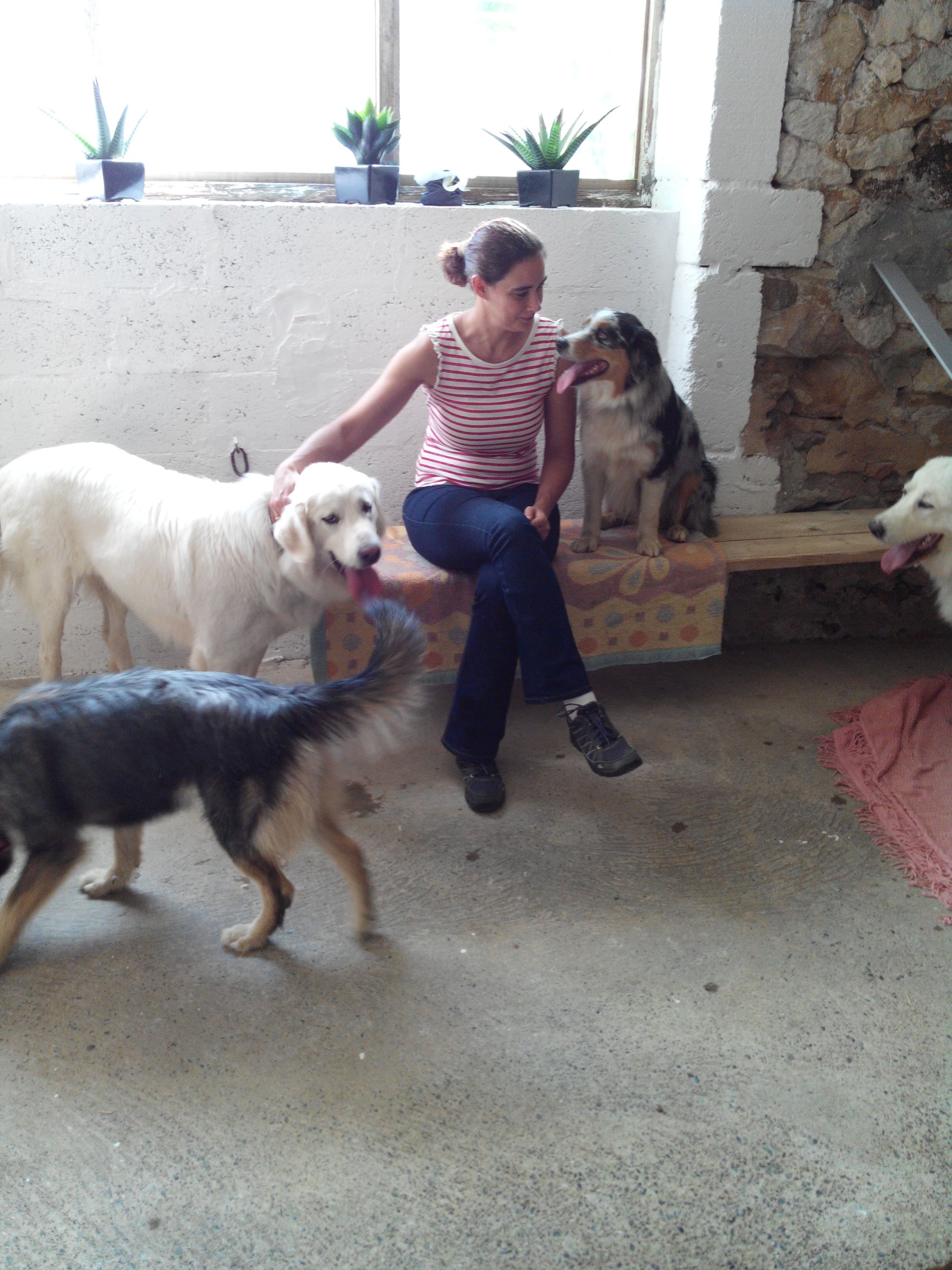 Pension canine Feli'Cyno