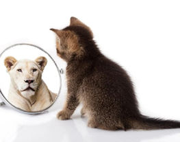 My Reflection In The Mirror