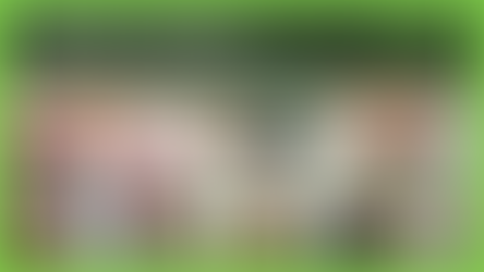 Chairman's Update - 12th November 2023