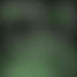 The Pavilion - Faces In The Crowd EP cover