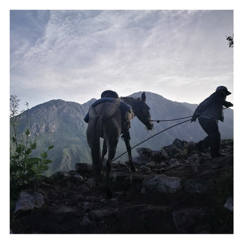 Colca.jpeg