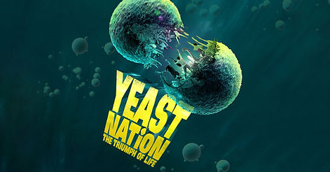 Yeasty Boys.jpeg