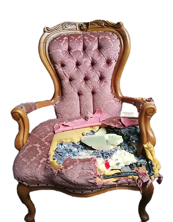 Vision 360 Upholstery Before