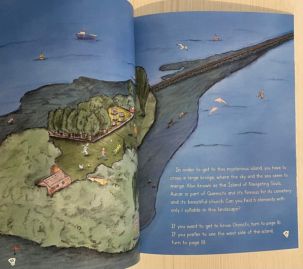 Miniatura: Treasure in Chiloe