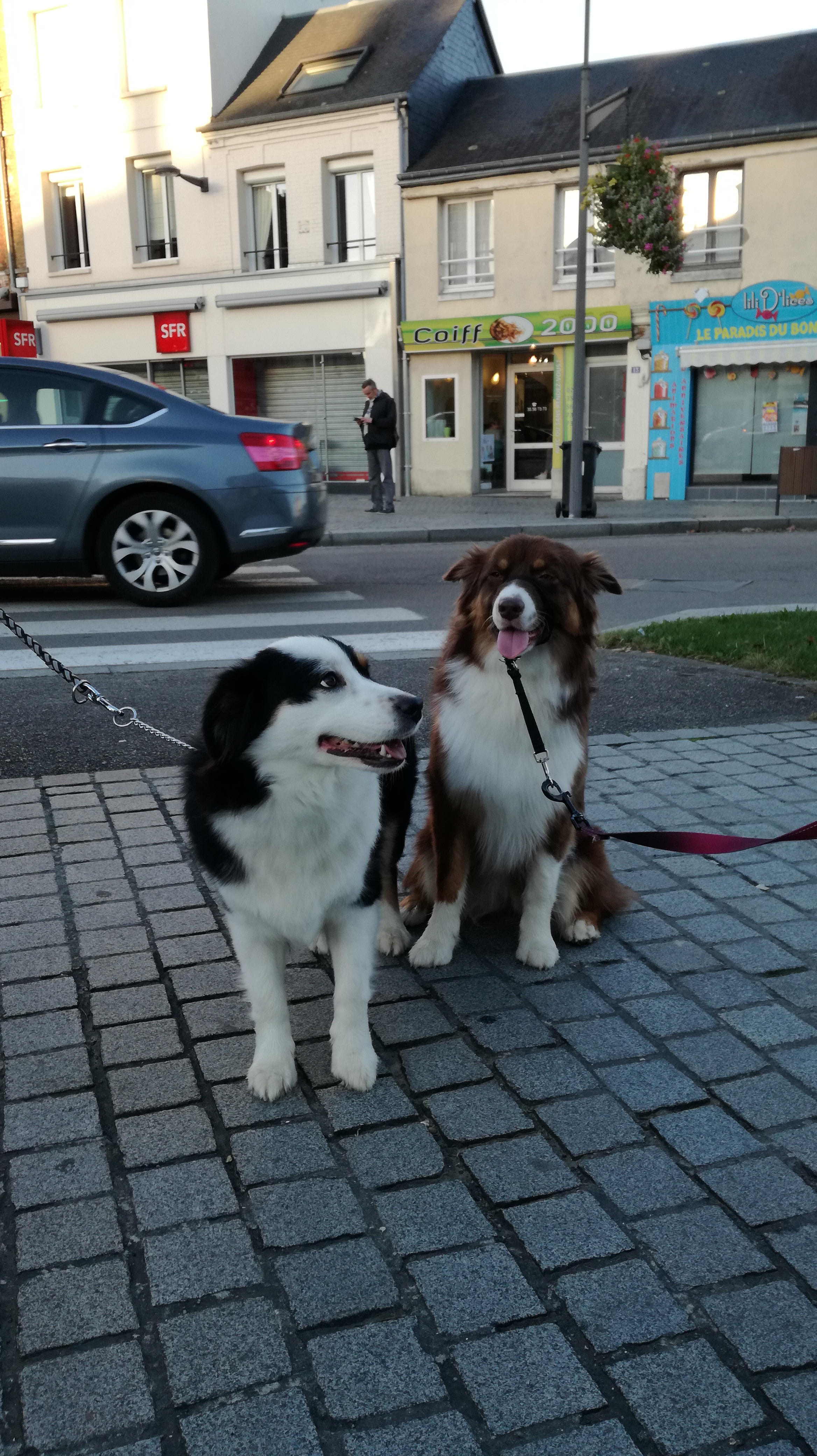 IMG_20171027_175335 - Copie