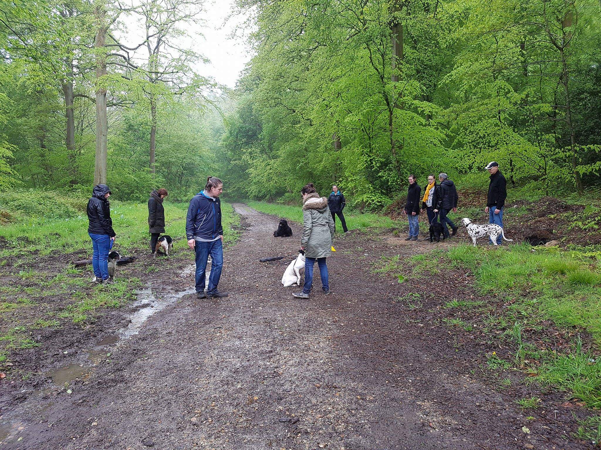 cours collectif