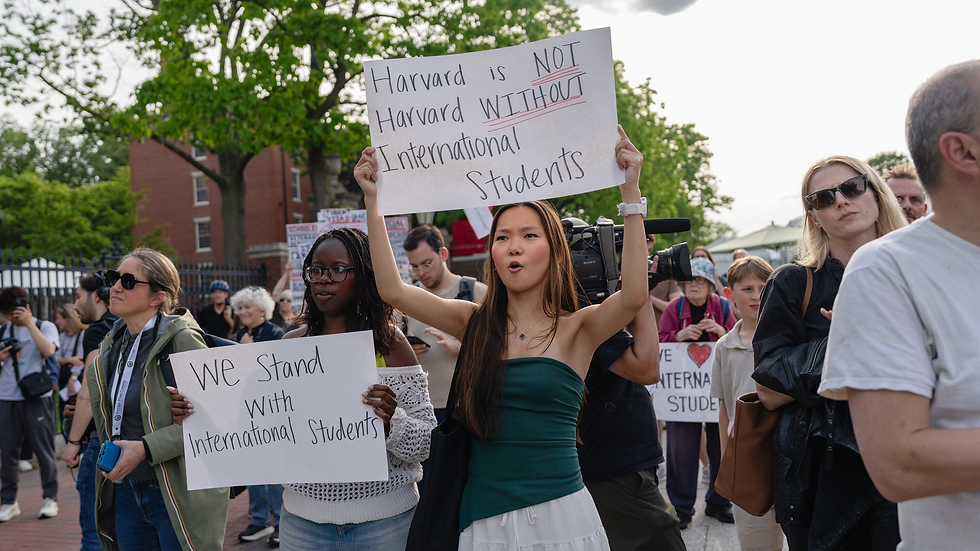 photo credits: NYT