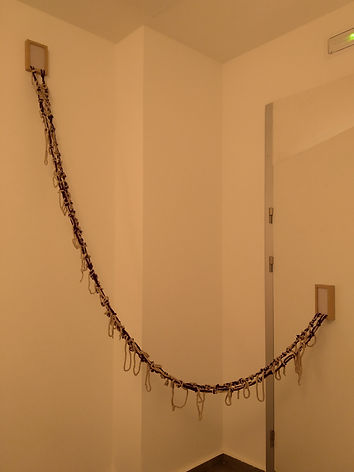 IMG_20201211_174410_R.jpg