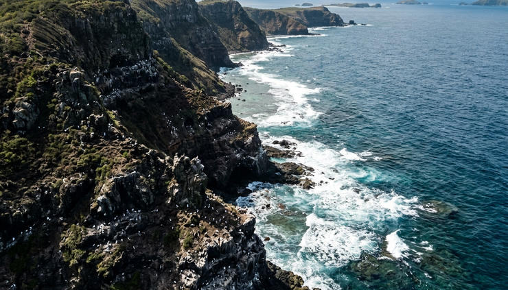 Aerial view of a rugged island coastline with nesting birds on cliffs.