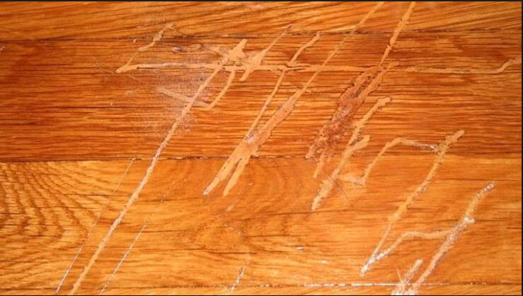 Engineered And Hardwood Floor Scratch Repair Kbk Flooring