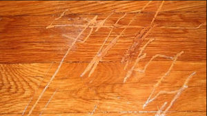Engineered And Hardwood Floor Scratch Repair Kbk Flooring