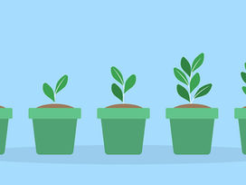 5つの緑の鉢に植えられた若葉のイラスト。左から右へ成長が示され、背景は淡い青色。生育過程を表現。