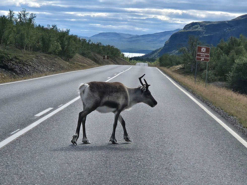 Kilpisjarvi Kautenkeino Karasjok