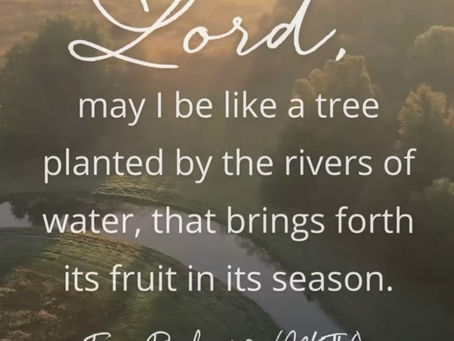 God's Promise