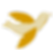 Bird-No Background.png