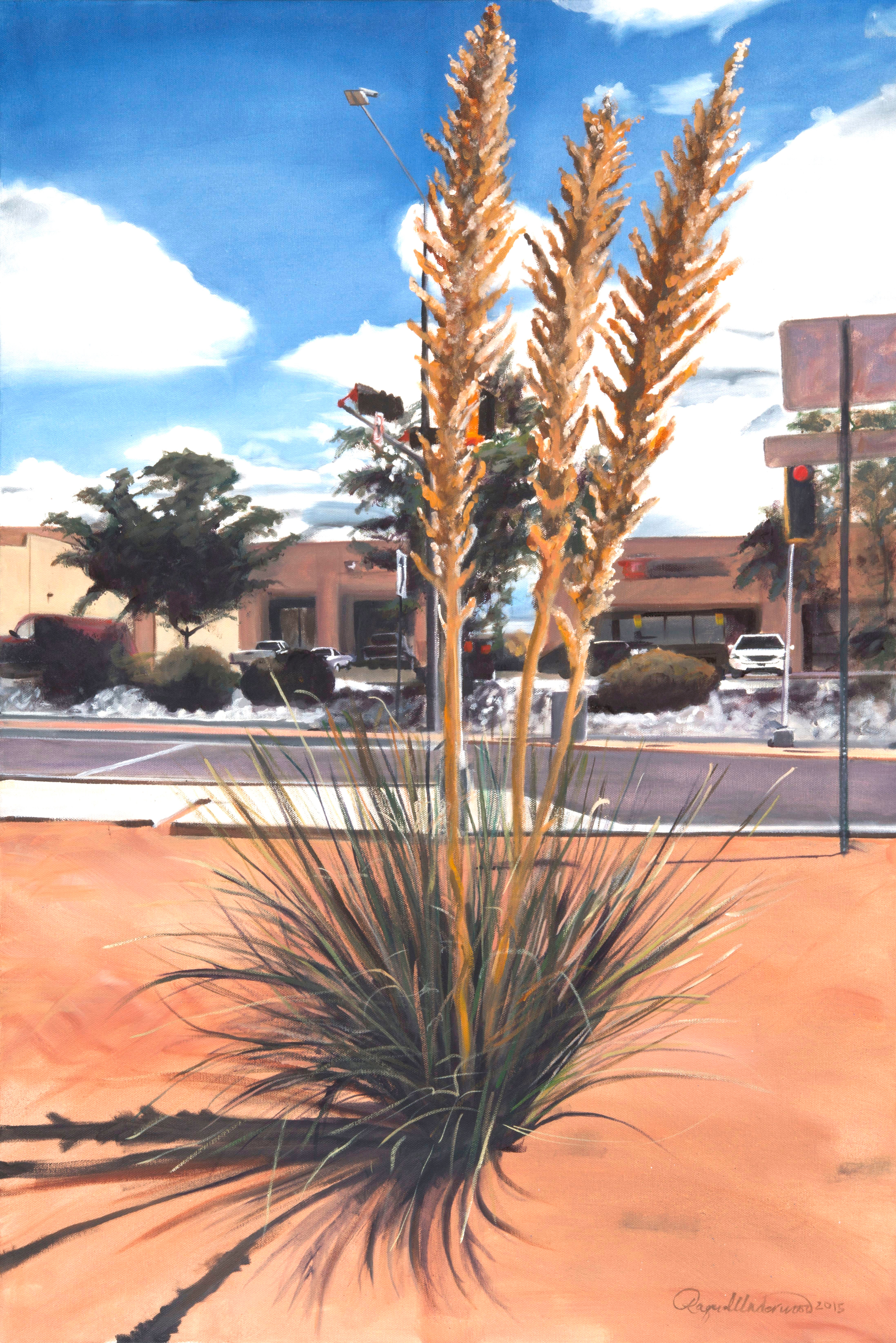 Llano Street Yucca